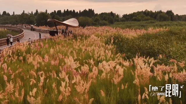 【開屏早知道】23家合格<strong></p>
<p>游泳池</strong>！昆明公示8月游泳池水質(zhì)檢測情況:游泳池